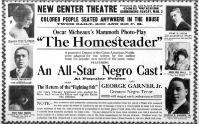 The Homesteader (1919)