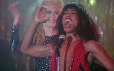 What’s Love Got to Do with It (1993)