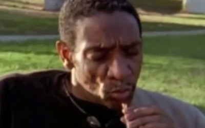 MacArthur Park (2001)