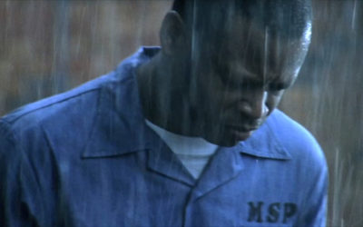 Turnipseed (2008)