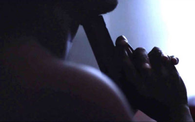 Lu (2013)