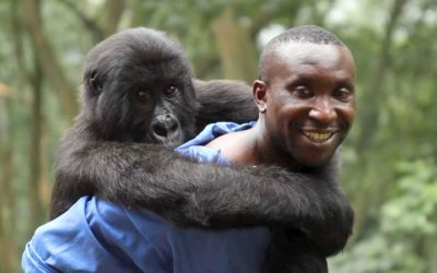 Virunga (2014)