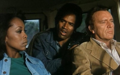 The Klansman (1974)