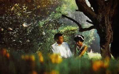 The Learning Tree (1969)