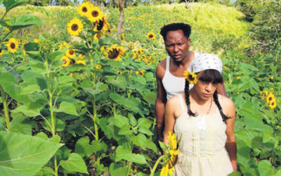 5th Dominican Film Festival (NYC) Announces Official Program
