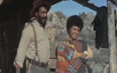 Man and Boy (1971)