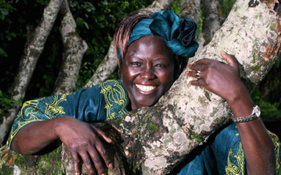 Taking Root: The Vision of Wangari Maathai (2008)