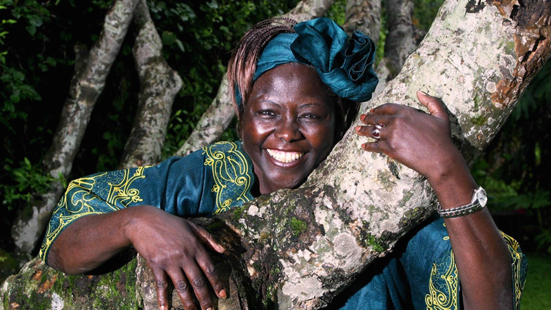 Taking Root: The Vision of Wangari Maathai (2008)