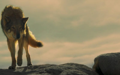 Alpha (2018)