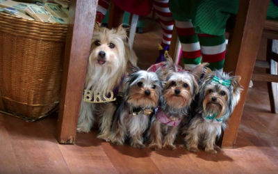Puppy Star Christmas (2018)