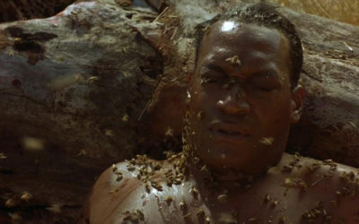 Candyman: Farewell to the Flesh (1995)