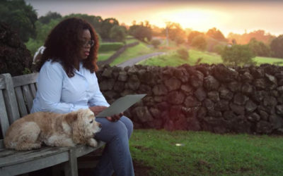Dear…. Oprah Winfrey (2020)