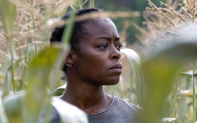 40 Acres (2025)
